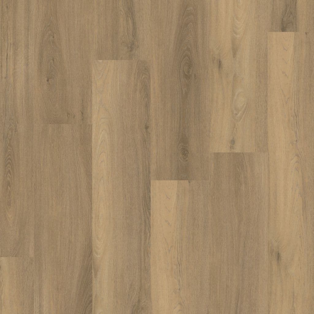 Paddington dryback naturel