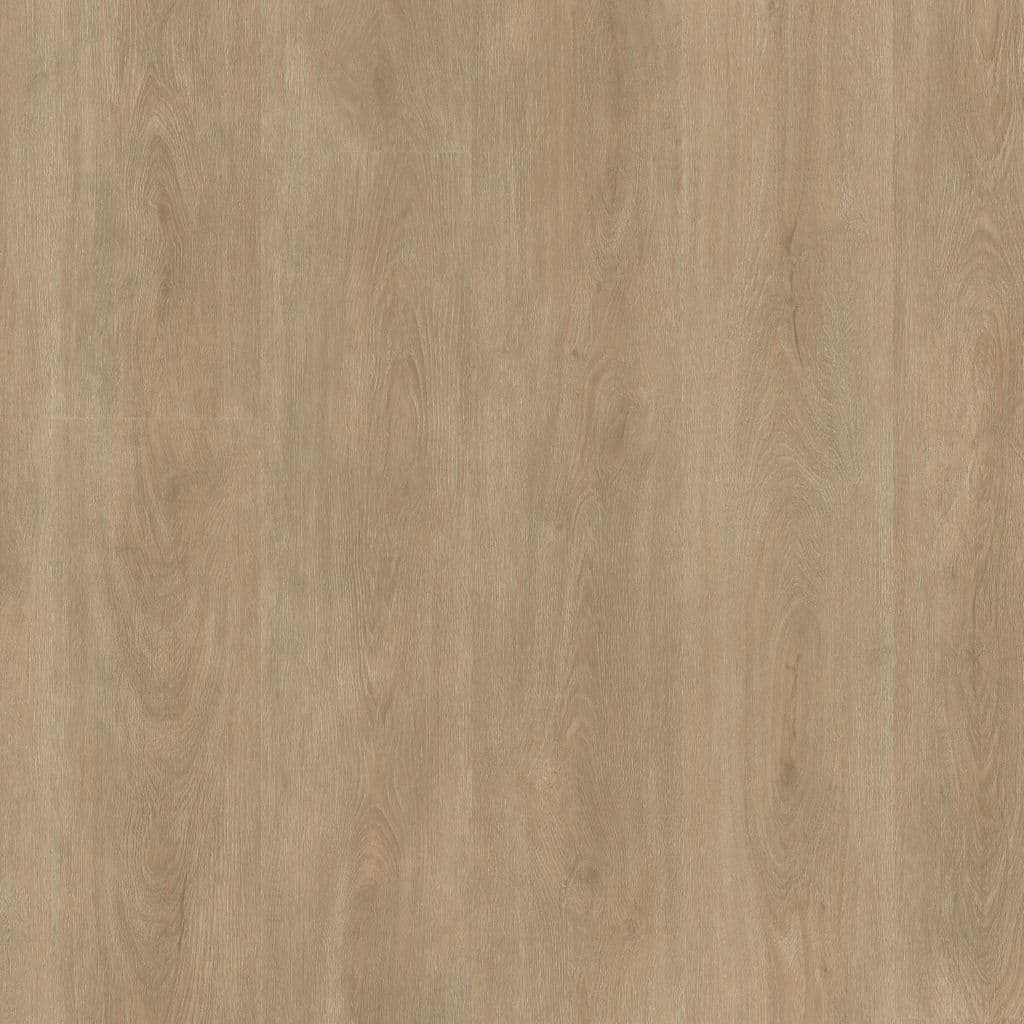 Parramatta dryback naturel