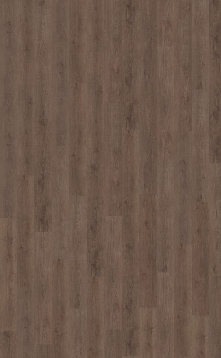 Monastro 900 | Rigid Click